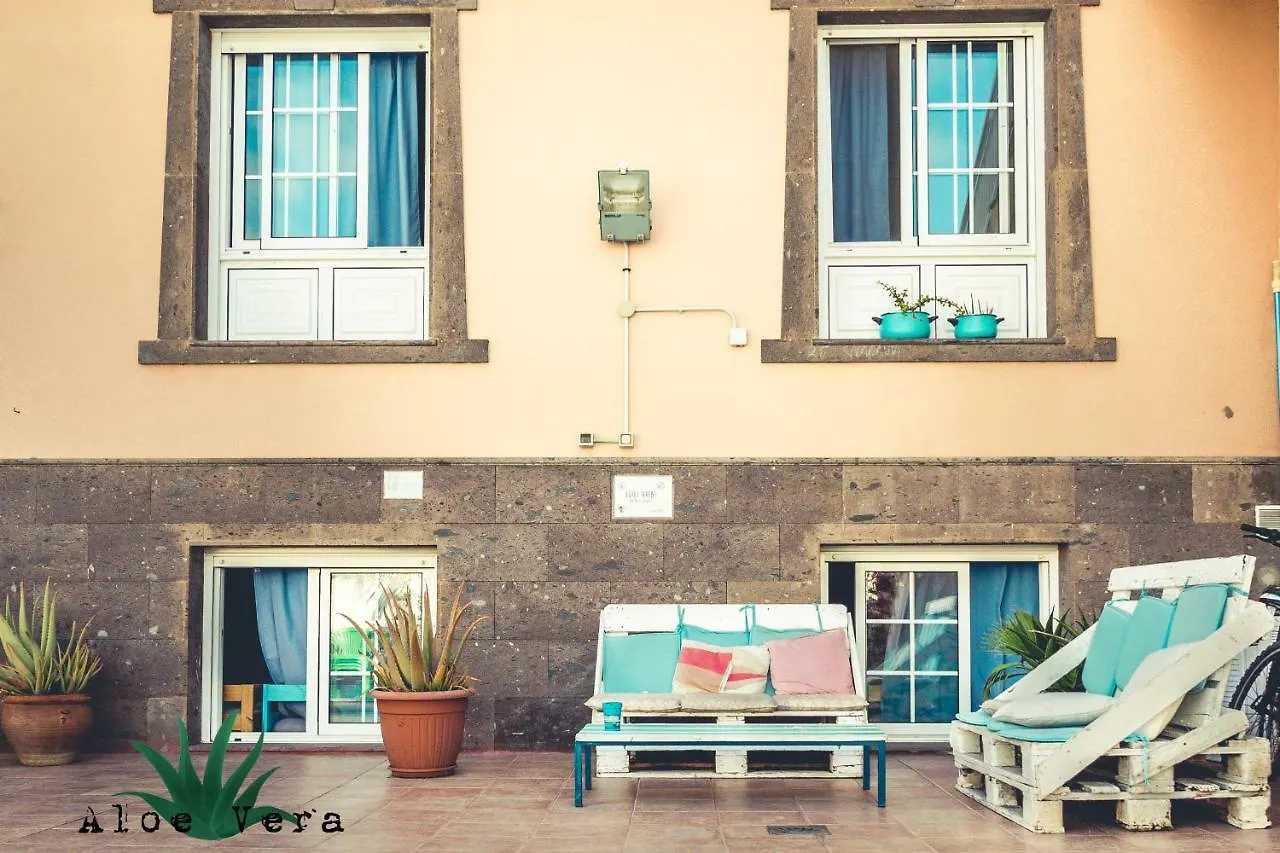 Aloe Vera Shared House El Medano  Hostel