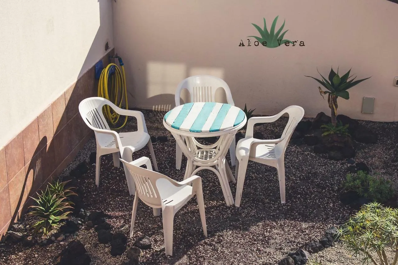 Aloe Vera Shared House El Médano